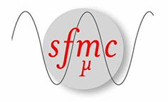 sfmc